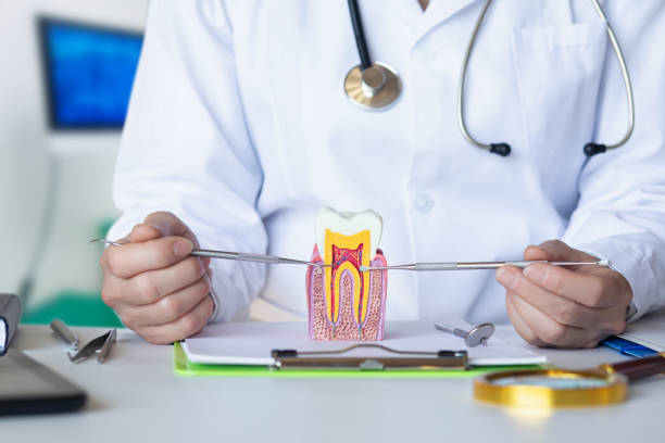 Best Root Canal Emergency Dentist  in Lyons, GA